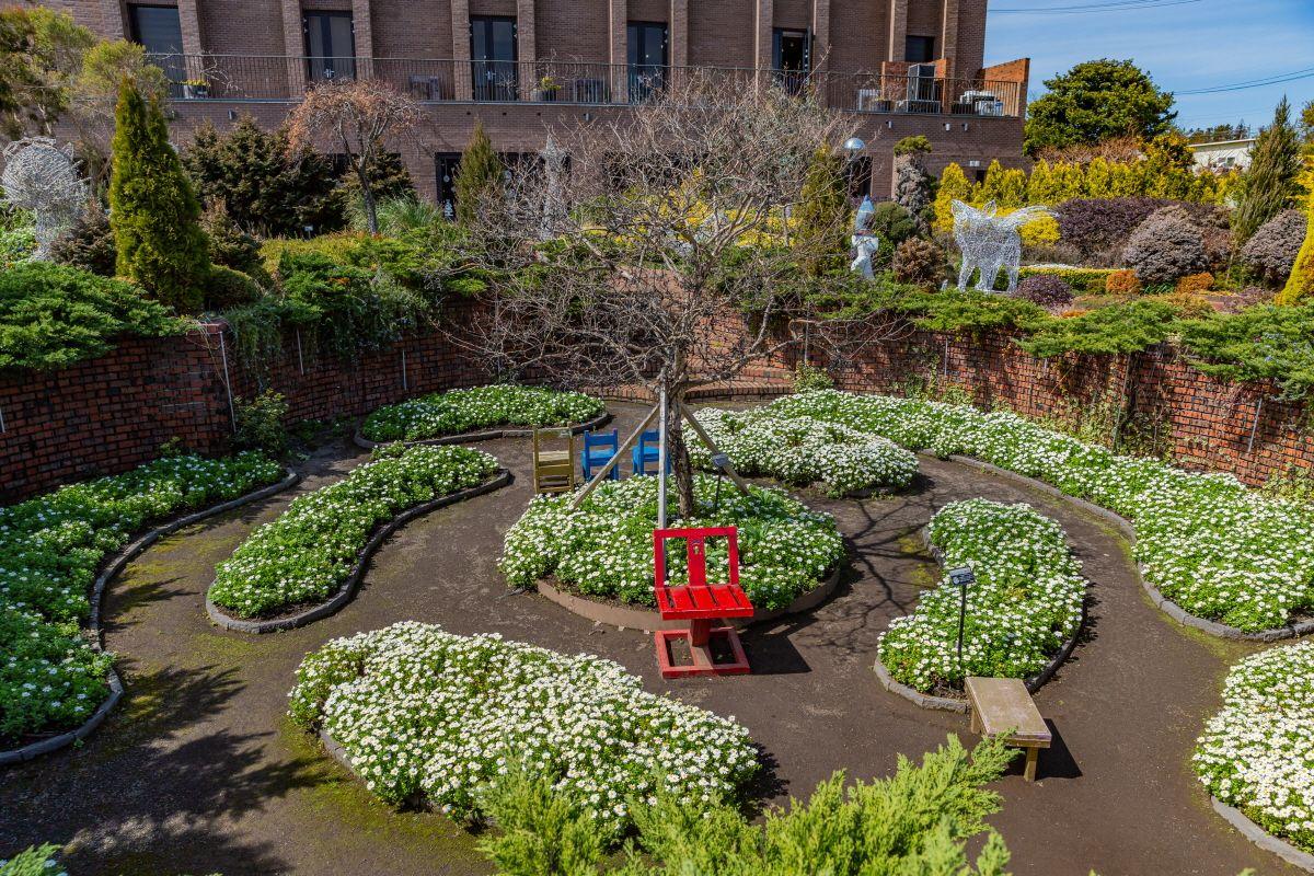 vườn thảo mộc Herb Dongsan tại Jeju