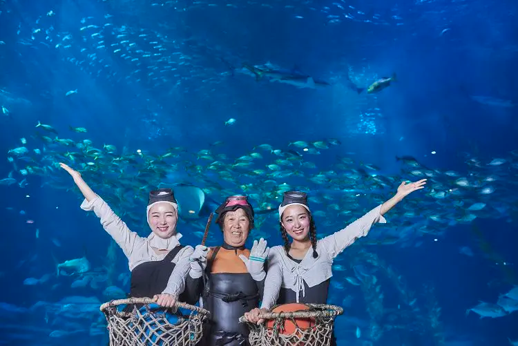 济州水上星球海女表演,背后可见大量的鱼群和水族馆环境。