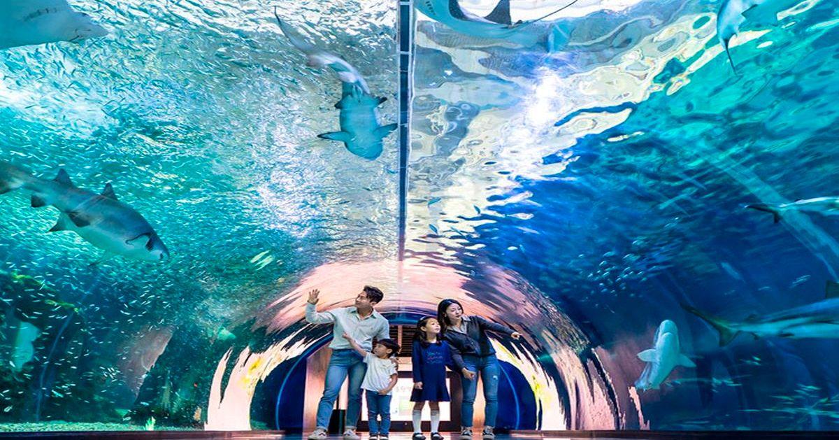 济州水族馆｜水上星球(Aqua Planet)外国人优惠套票