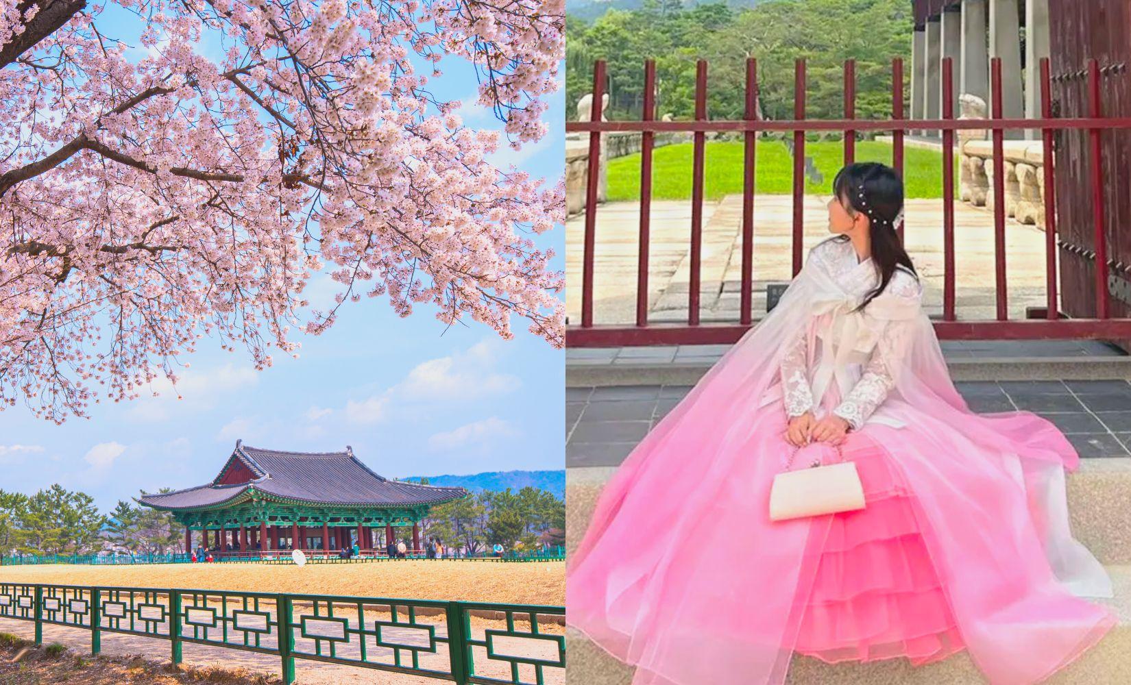 Các tour du lịch Hàn Quốc mới nhất 2023, giá cực ưu đãi! 