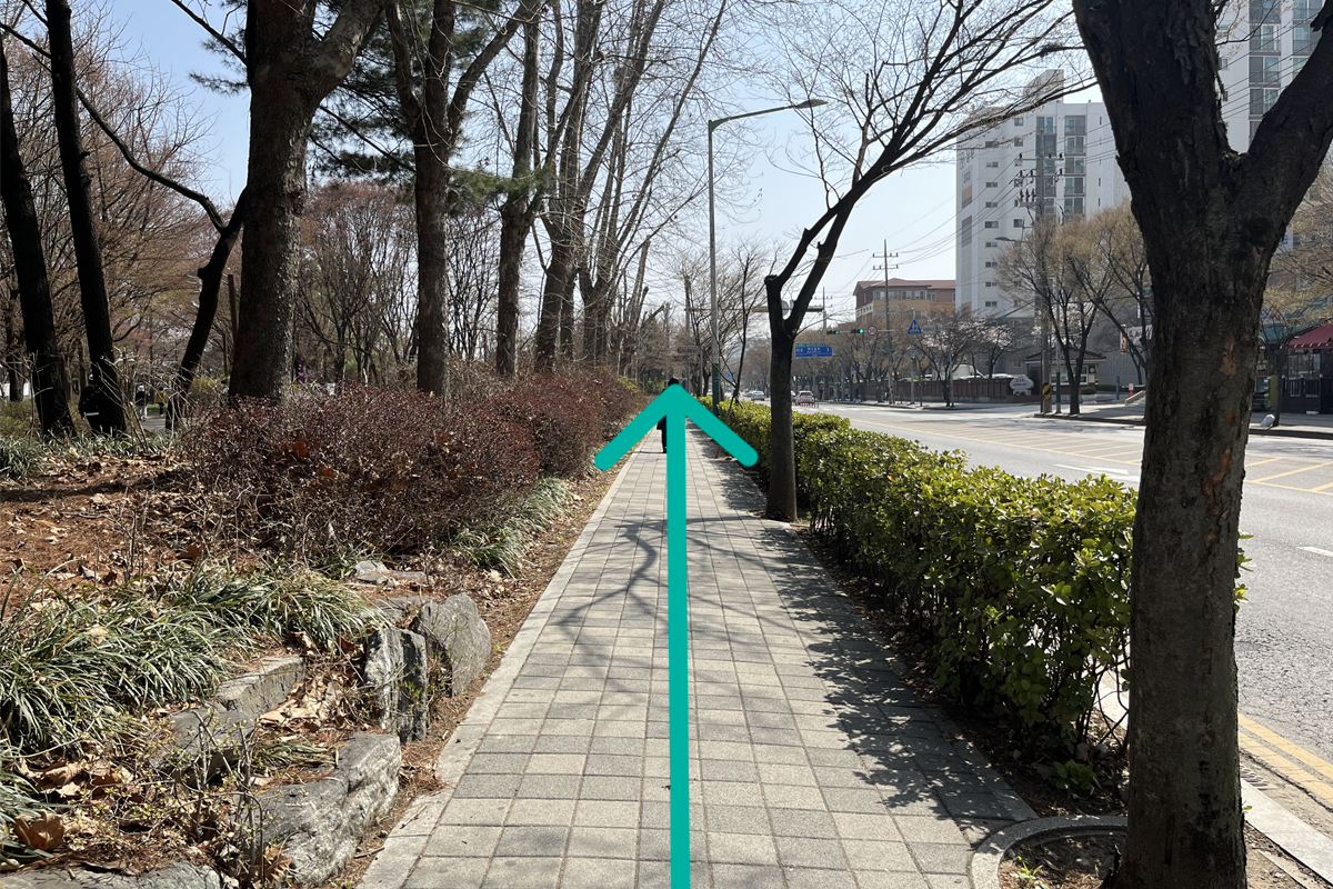 韓国、韓国旅行、仁川、仁川旅行、仁川マッチプ、韓国パン