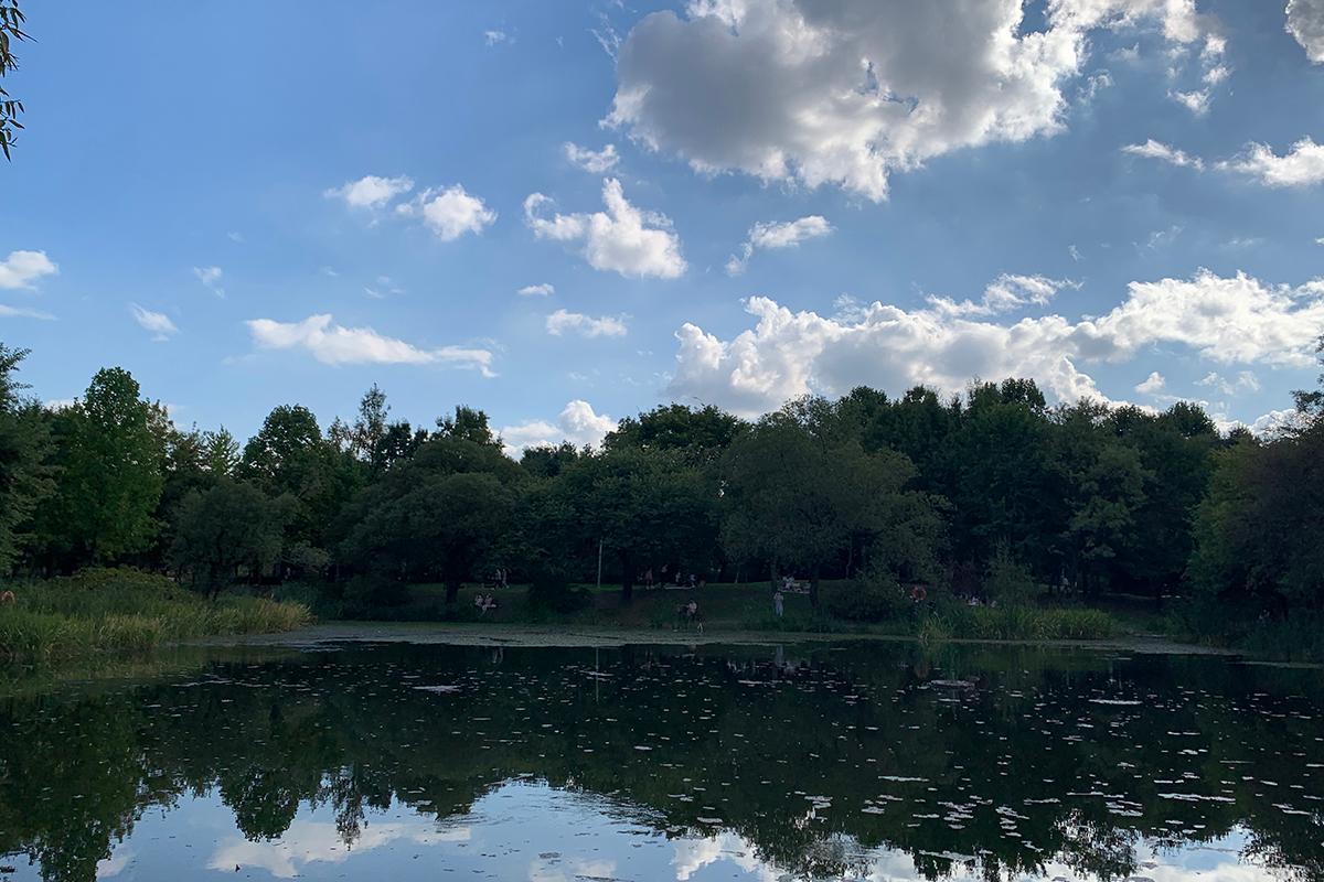 韓国旅行、韓国、ソウル、ソウル旅行、ソウルの森、韓国ピクニック