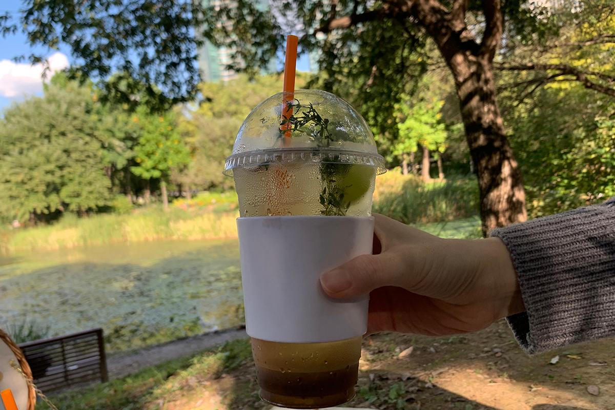 韓国旅行、韓国、ソウル、ソウル旅行、ソウルの森、韓国ピクニック