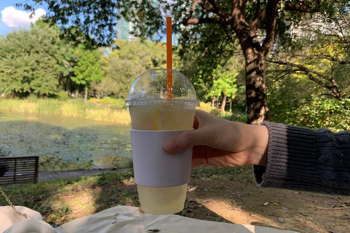 韓国旅行、韓国、ソウル、ソウル旅行、ソウルの森、韓国ピクニック