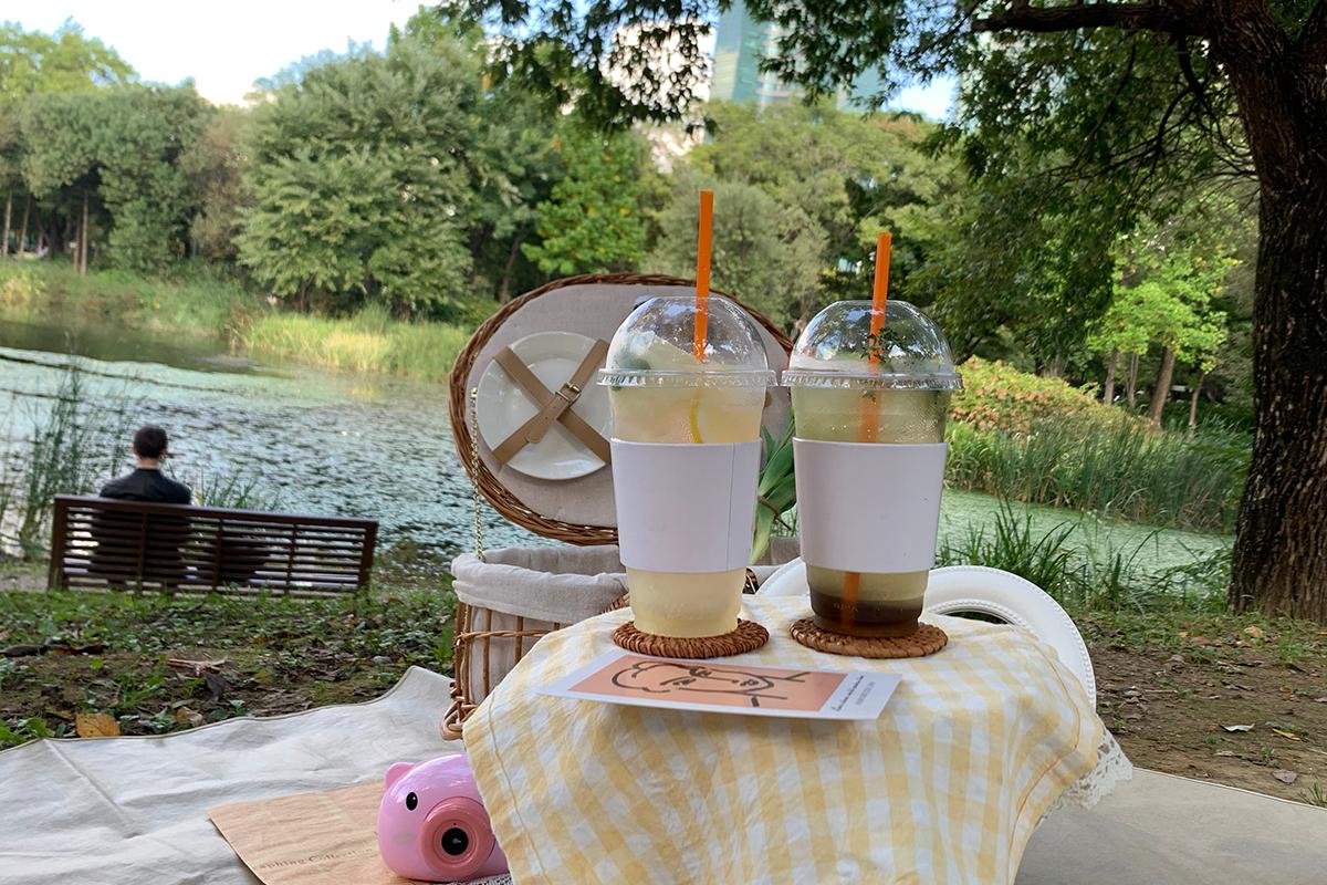 韓国旅行、韓国、ソウル、ソウル旅行、ソウルの森、韓国ピクニック