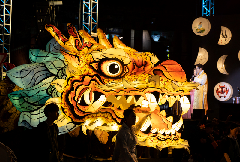 韓国旅行、韓国祭り、お祭り、韓国イベント、韓国行事、韓国夏祭り、有名祭り、花火大会、韓国桜、桜名所、夏祭り、ススキフェスティバル