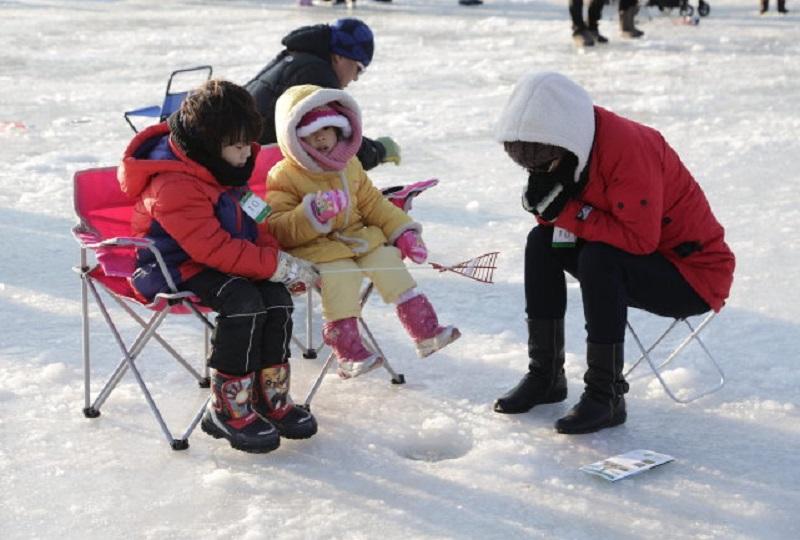 韓国旅行、韓国祭り、お祭り、韓国イベント、韓国行事、韓国夏祭り、有名祭り、花火大会、韓国桜、桜名所、夏祭り、ススキフェスティバル