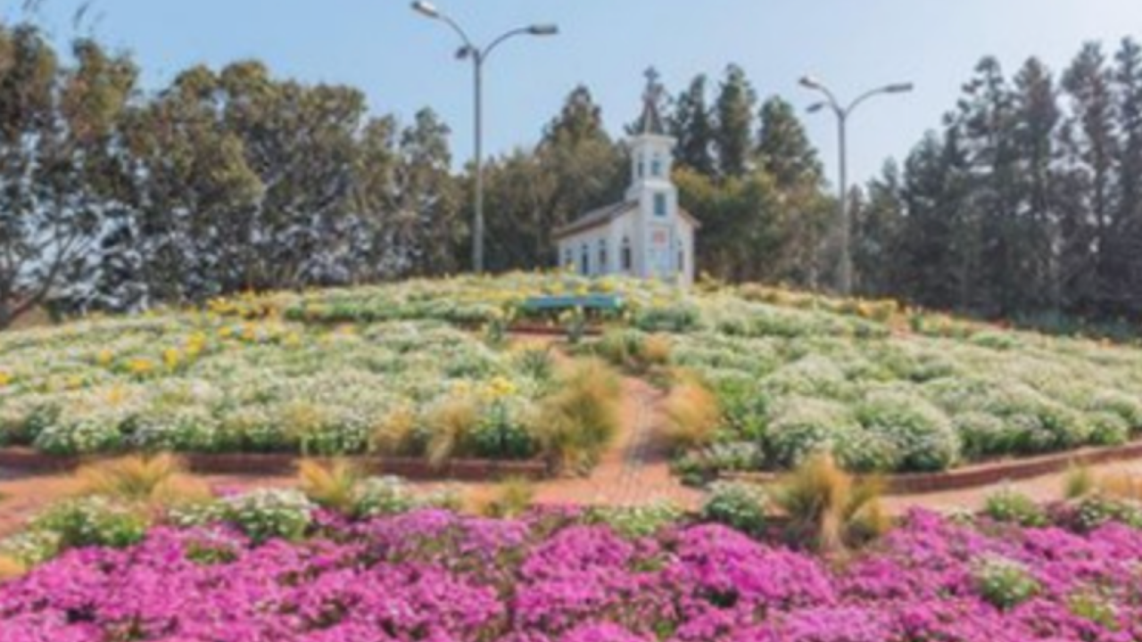 Ein schöner Kräutergarten auf Jeju Island, umgeben von blühenden Blumen und einem malerischen Weg.
