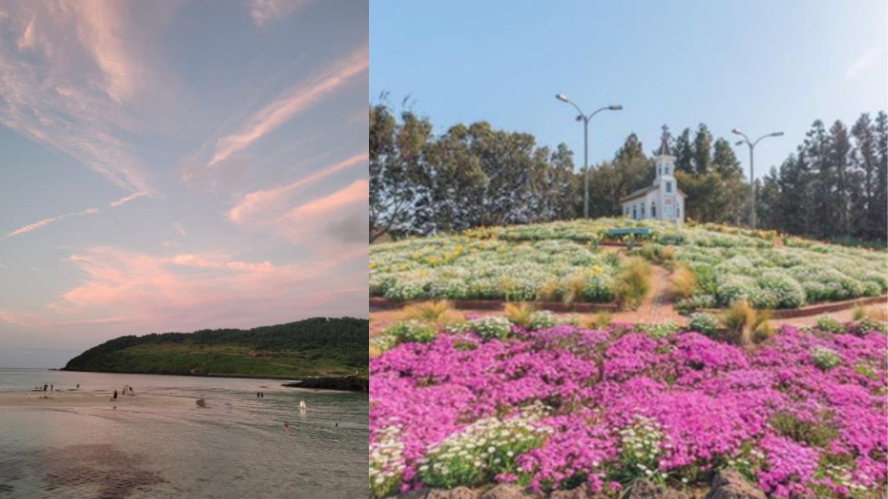 Tur Satu Hari Penyembuhan & Kebersihan Jeju