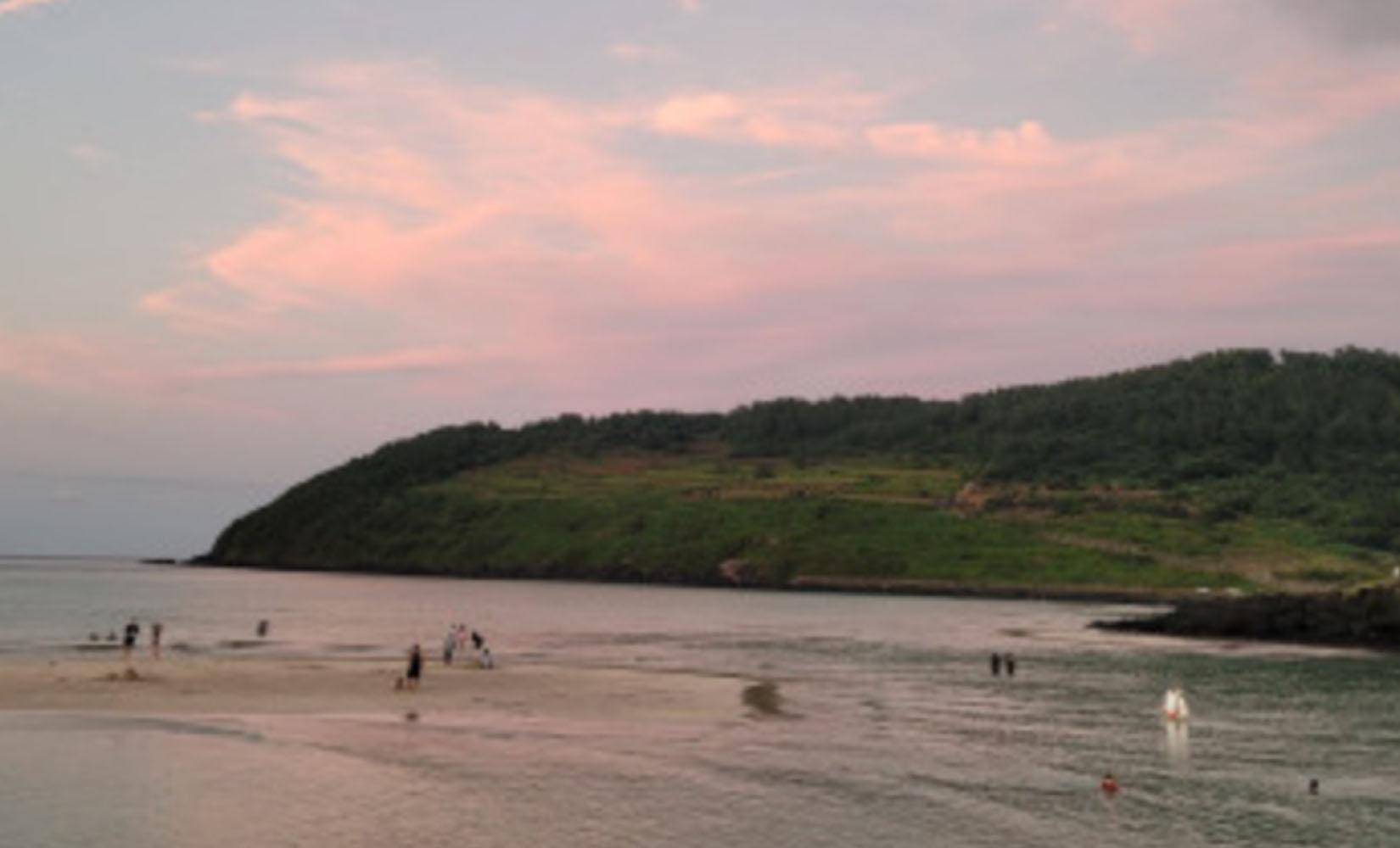 代訂｜Healing & Clean濟州一日遊