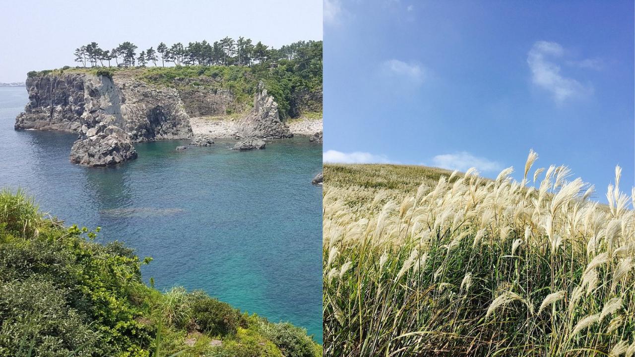 Tour privato in taxi di Jeju