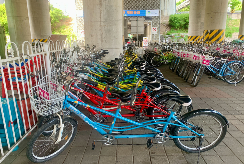 纛島漢江公園 2025 