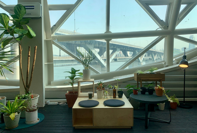 纛島漢江公園 2025 