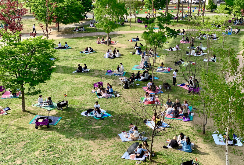 纛島漢江公園 2025 