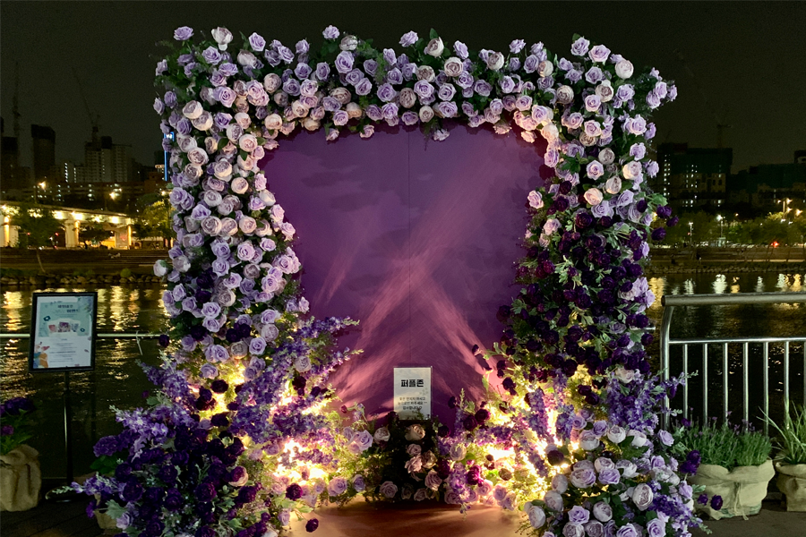 盤浦 漢江公園 2025 彩虹噴泉 首爾漢江盤浦公園