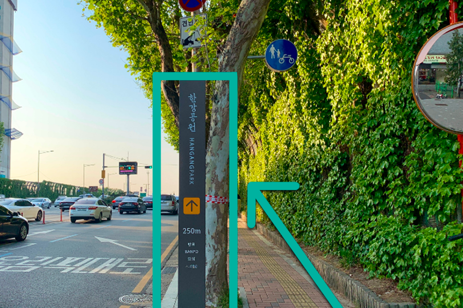 盤浦 漢江公園 2025 彩虹噴泉 首爾漢江盤浦公園