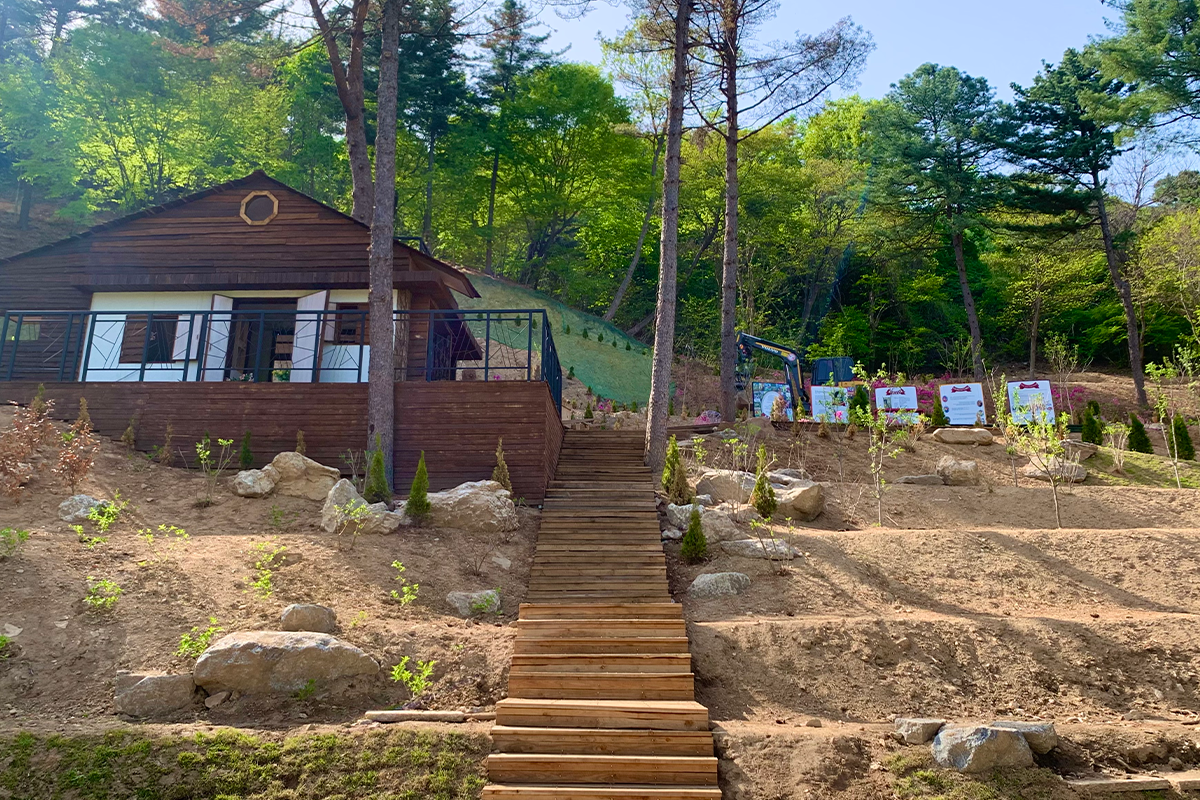 加平「童話瑞士村」中的木屋，寧靜地矗立於山坡旁，周圍茂密的樹木增添自然氛圍。