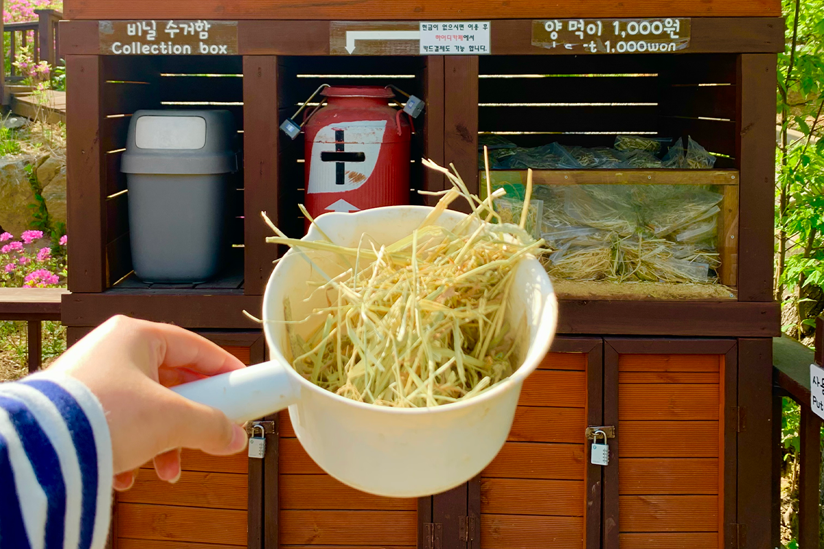羊牧場 童話瑞士村 加平必去