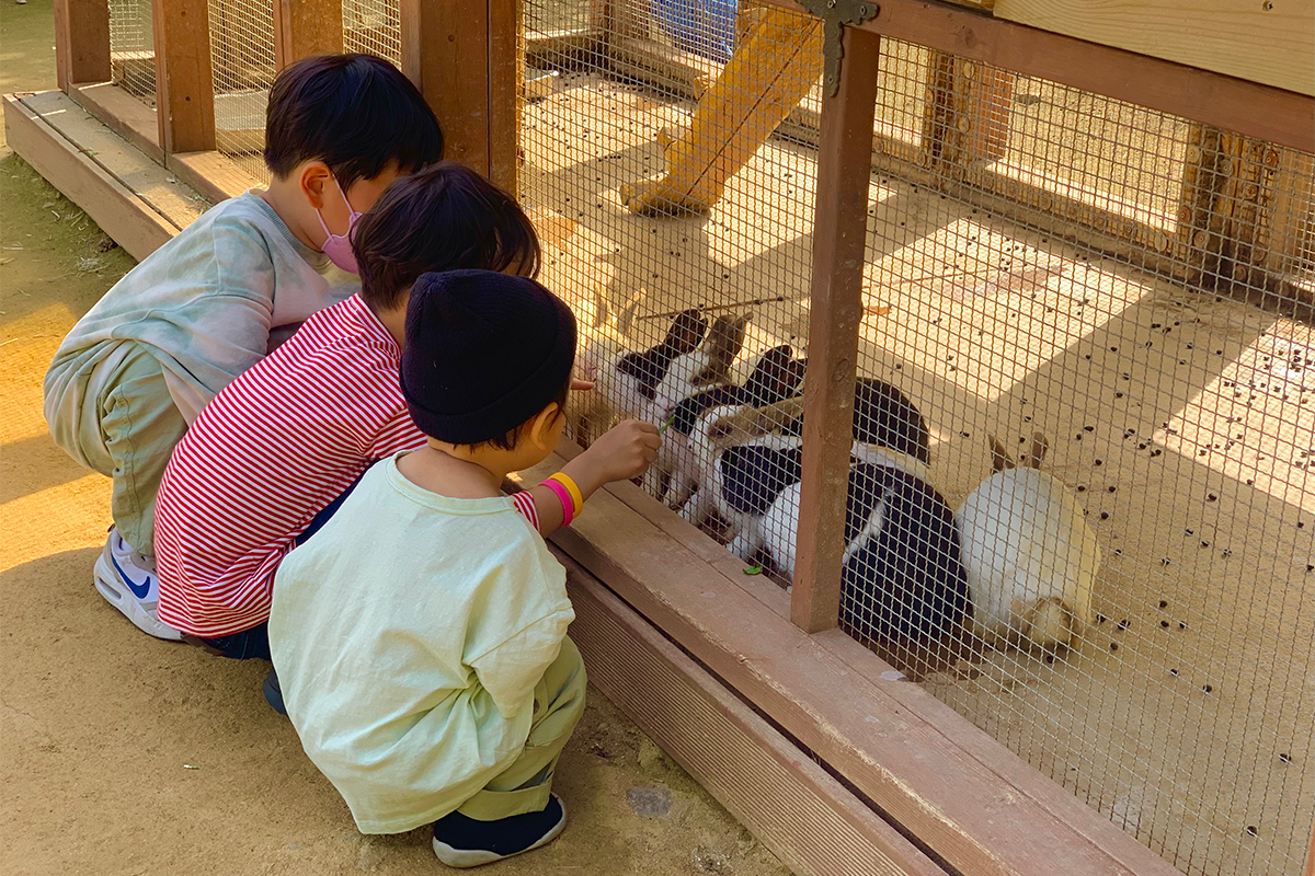 羊牧場 童話瑞士村 加平必去