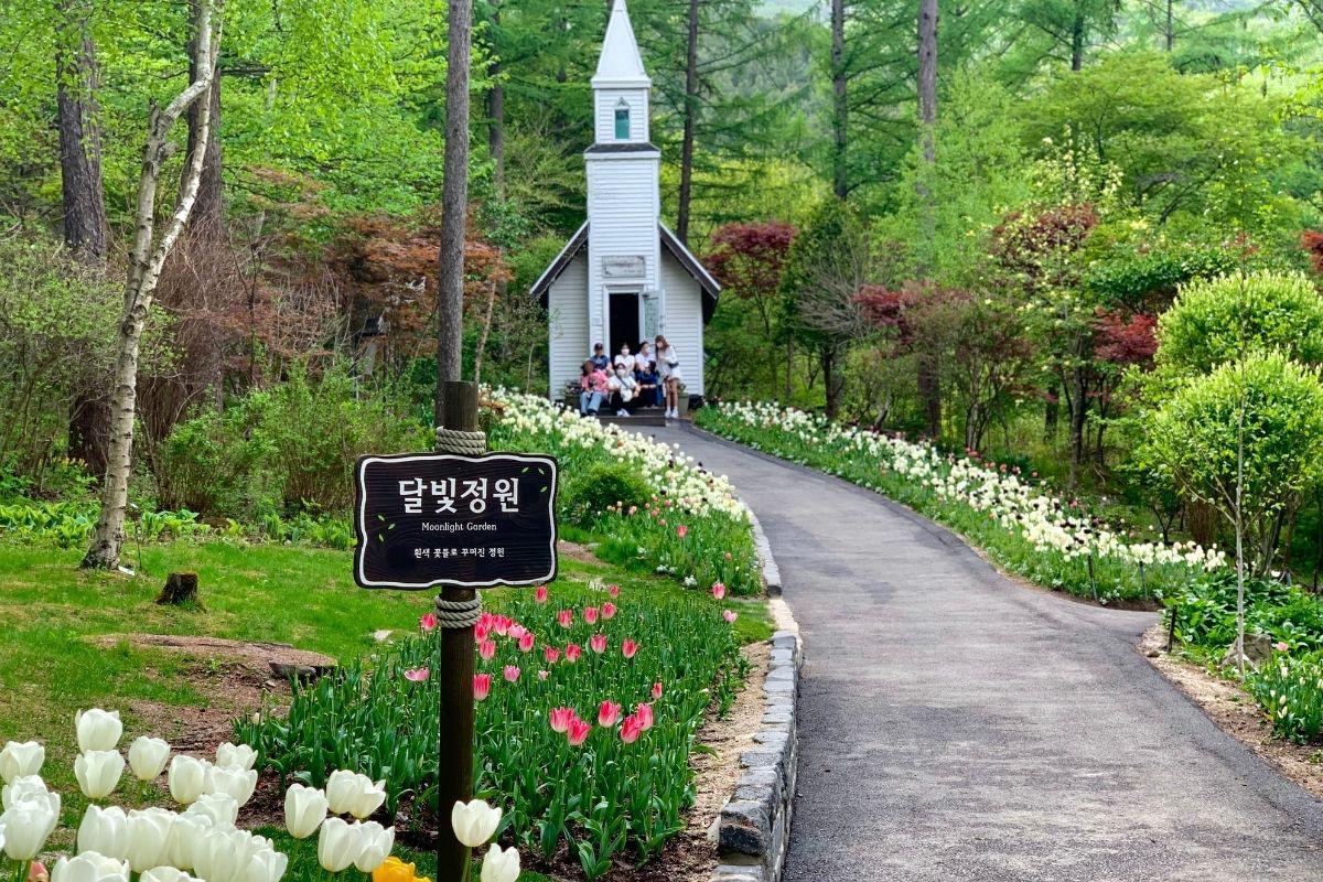 khu vườn ánh trăng, moonlight garden ở  The Garden of Morning Calm, gapyeong, gần đảo nami