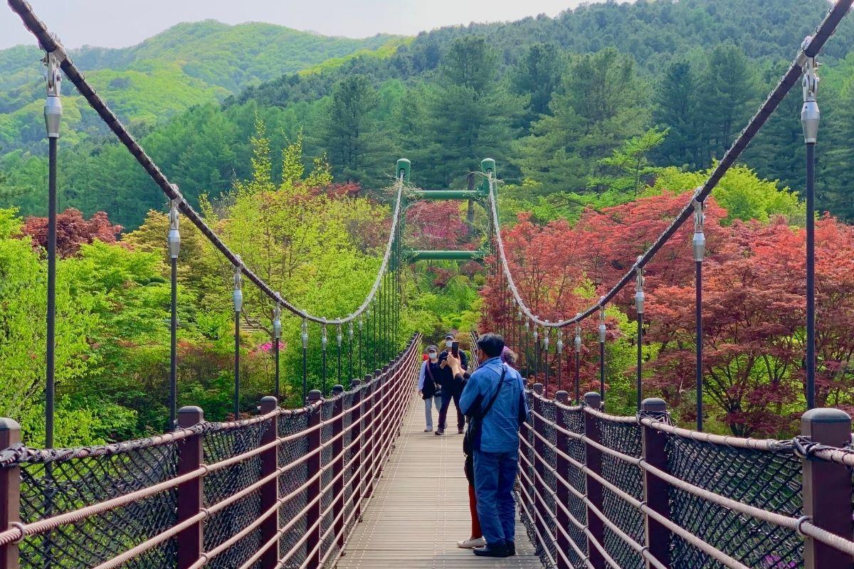 cầu mây cloud bridge ở  The Garden of Morning Calm, gapyeong, gần đảo nami