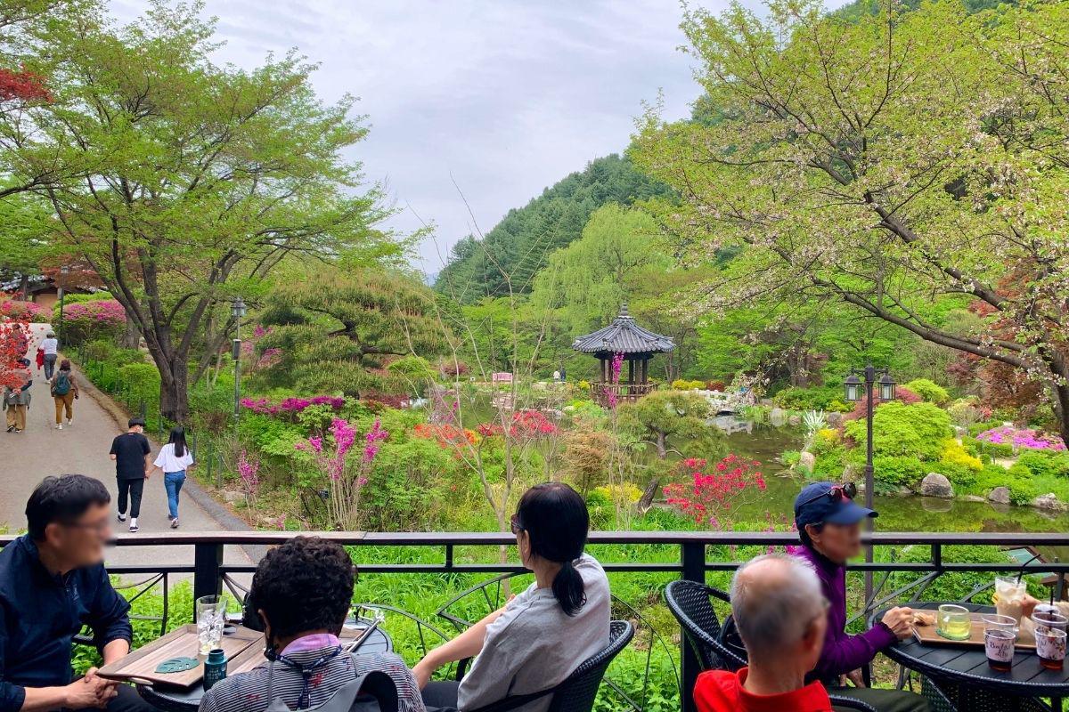 quán cafe view hồ ở The Garden of Morning Calm, gapyeong, gần đảo nami