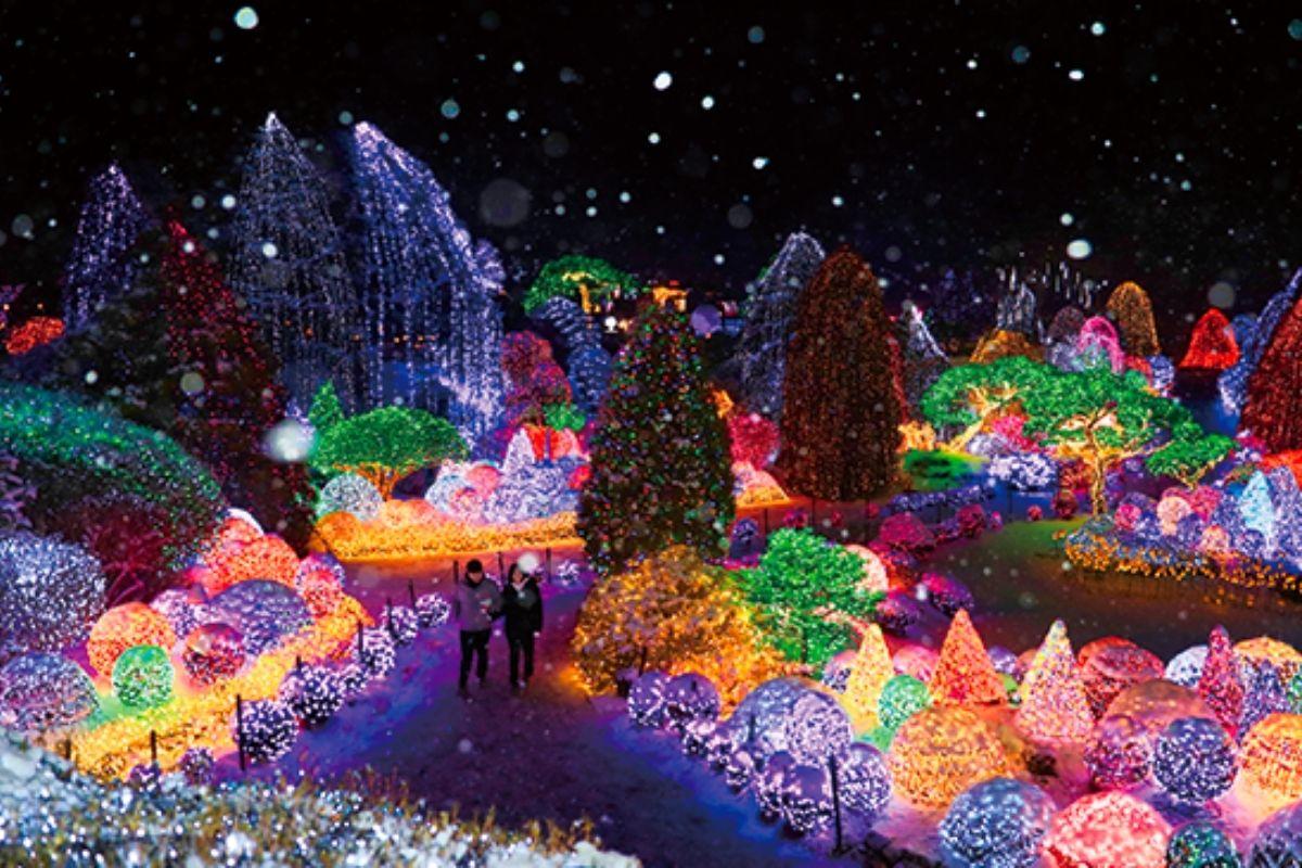 lễ hội ánh sáng ở The Garden of Morning Calm mùa đông 