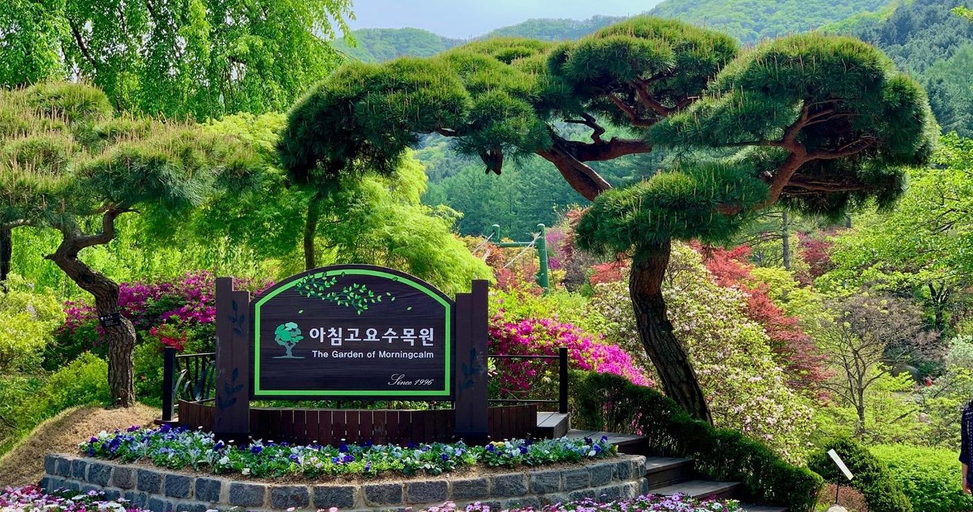 พาชมสวน The Garden of Morning Calm