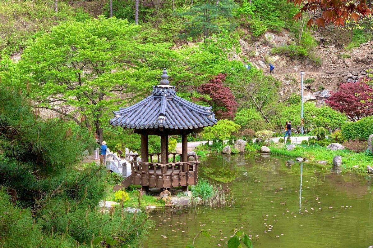 pond garden ở  The Garden of Morning Calm, gapyeong, gần đảo nami