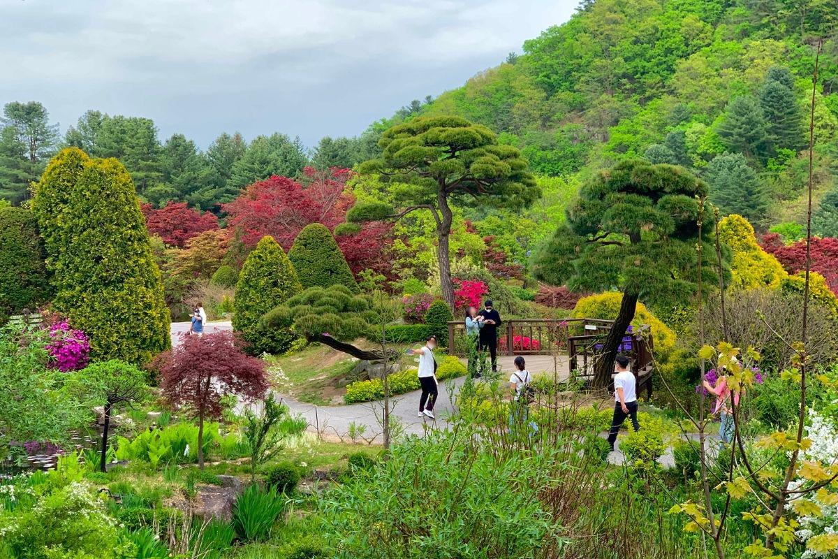 khu rock garden ở The Garden of Morning Calm, gapyeong, gần đảo nami