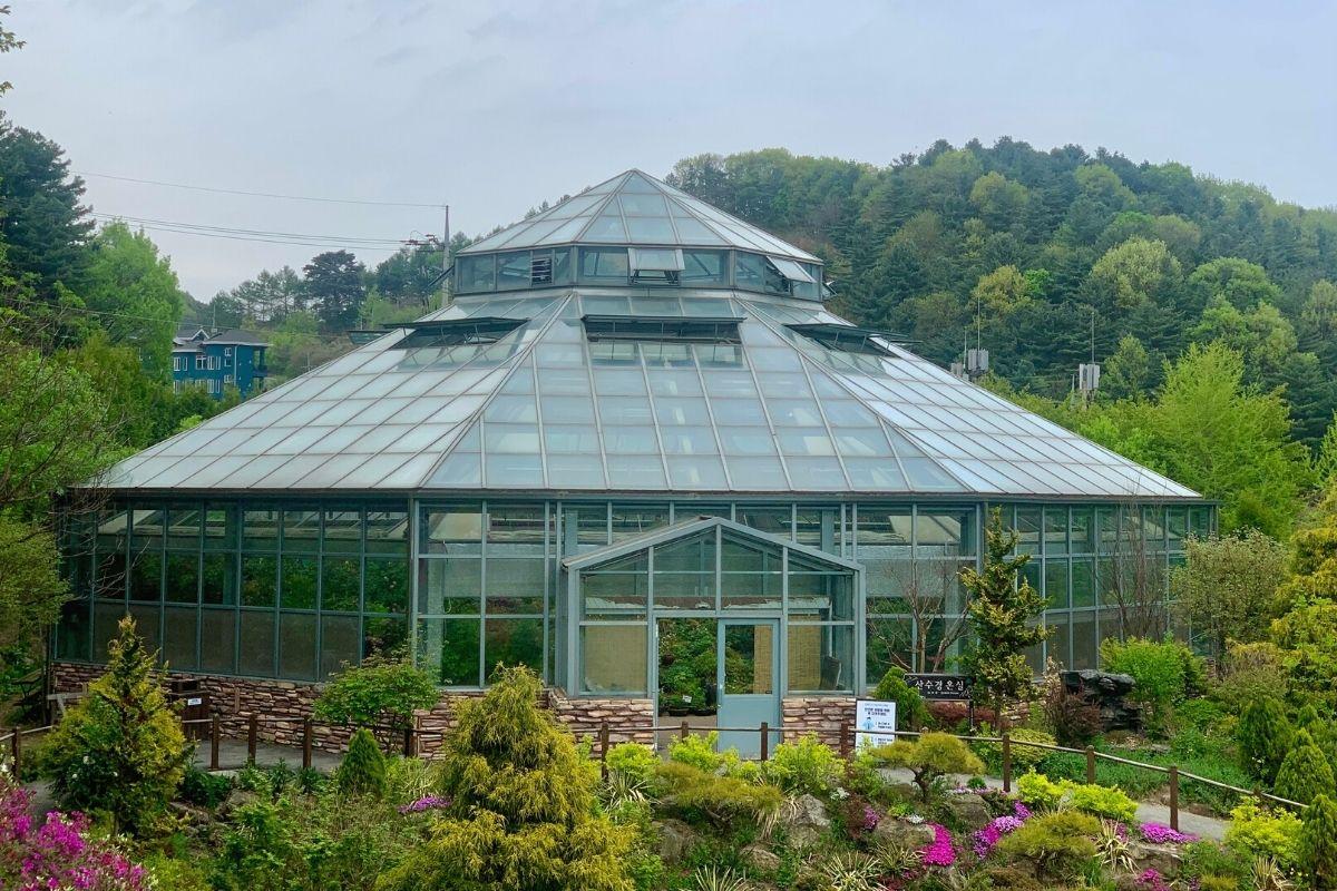 nhà kính ở The Garden of Morning Calm, gapyeong, gần đảo nami