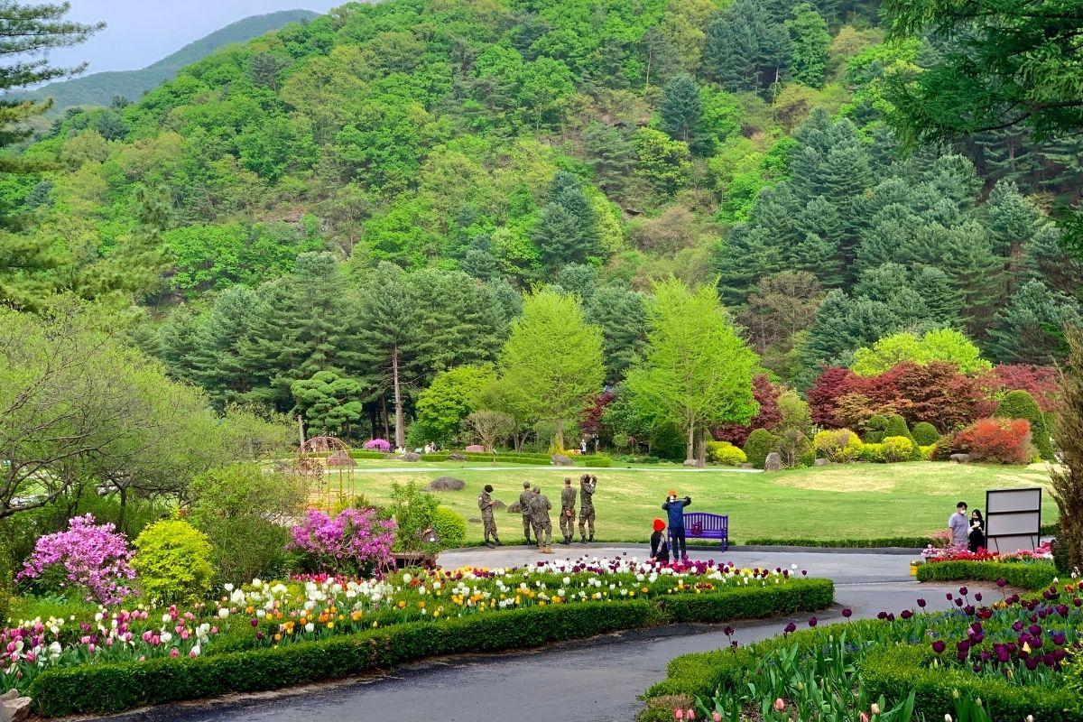 road to haven ở  The Garden of Morning Calm, gapyeong, gần đảo nami