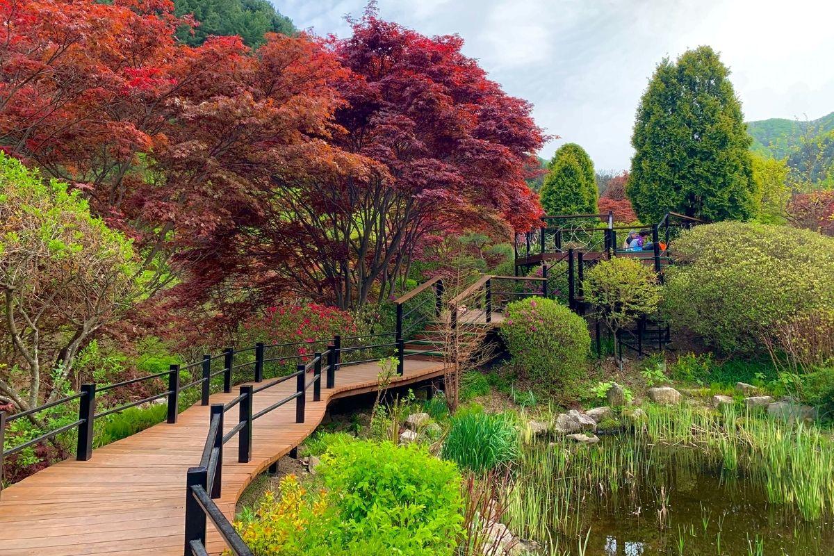 sunken garden ở  The Garden of Morning Calm, gapyeong, gần đảo nami