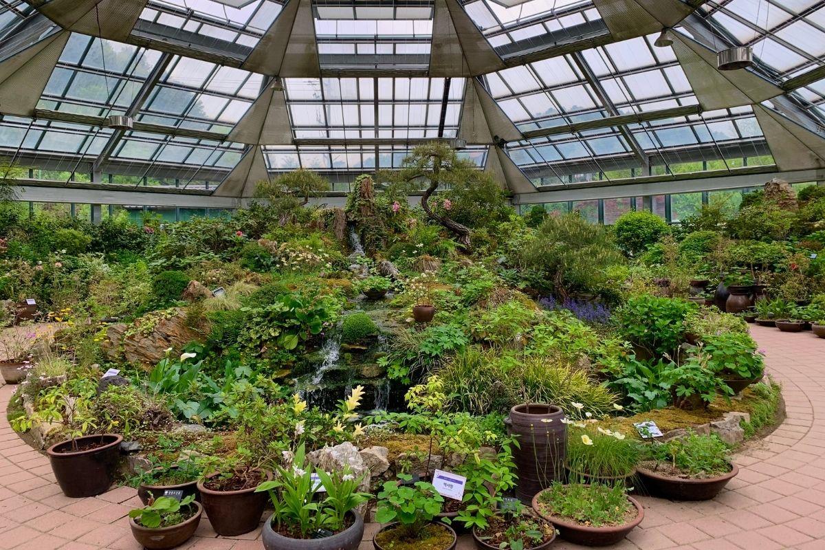 bên trong nhà kính ở ở The Garden of Morning Calm, gapyeong, gần đảo nami