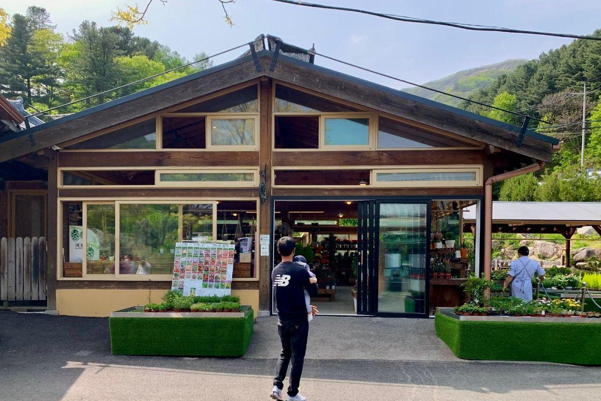 cửa hàng cây cảnh