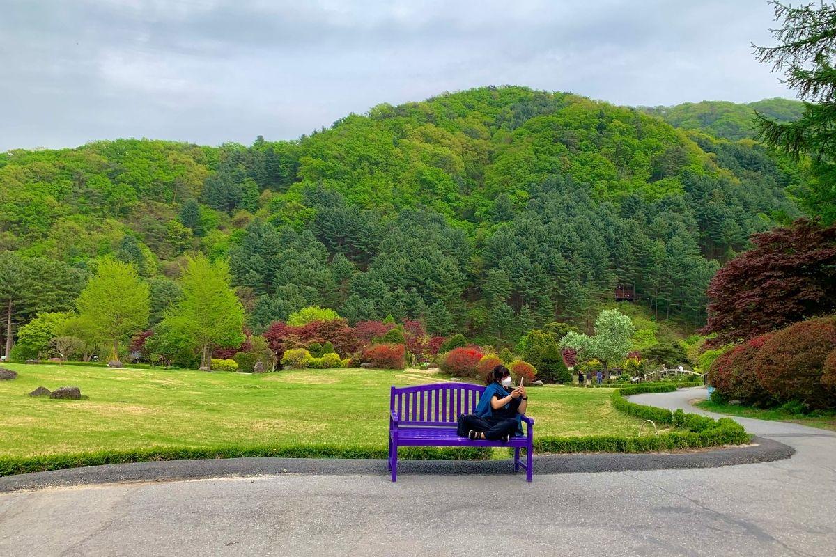 bãi cỏ rộng, morning plaza ở The Garden of Morning Calm, gapyeong, gần đảo nam