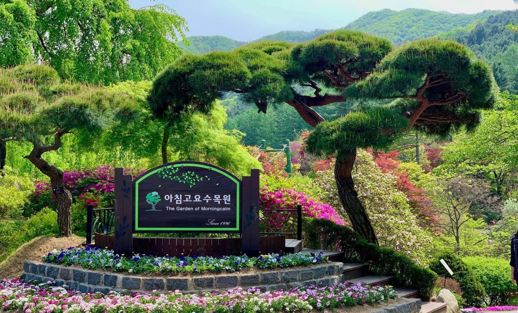 加平 樹木園 ｜アチムゴヨ樹木園