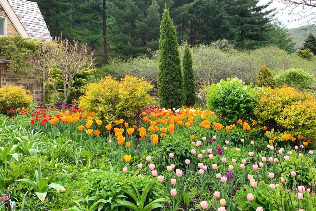 hoa ở  The Garden of Morning Calm, gapyeong, gần đảo nami