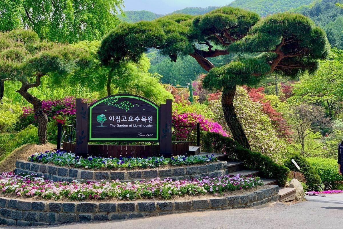 Thông tin The Garden of Morning Calm, gapyeong