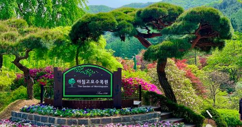 韓國 南怡島 晨靜樹木園