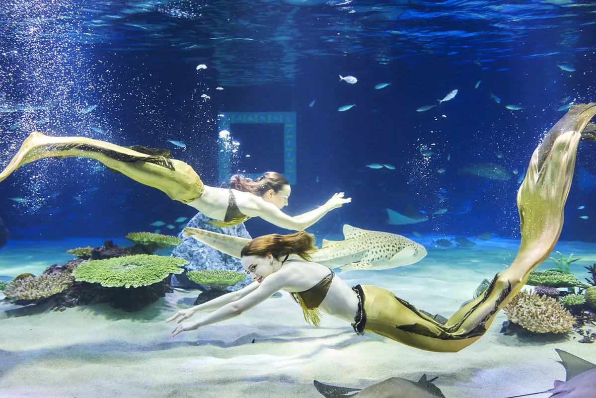 63大樓海洋世界水族館