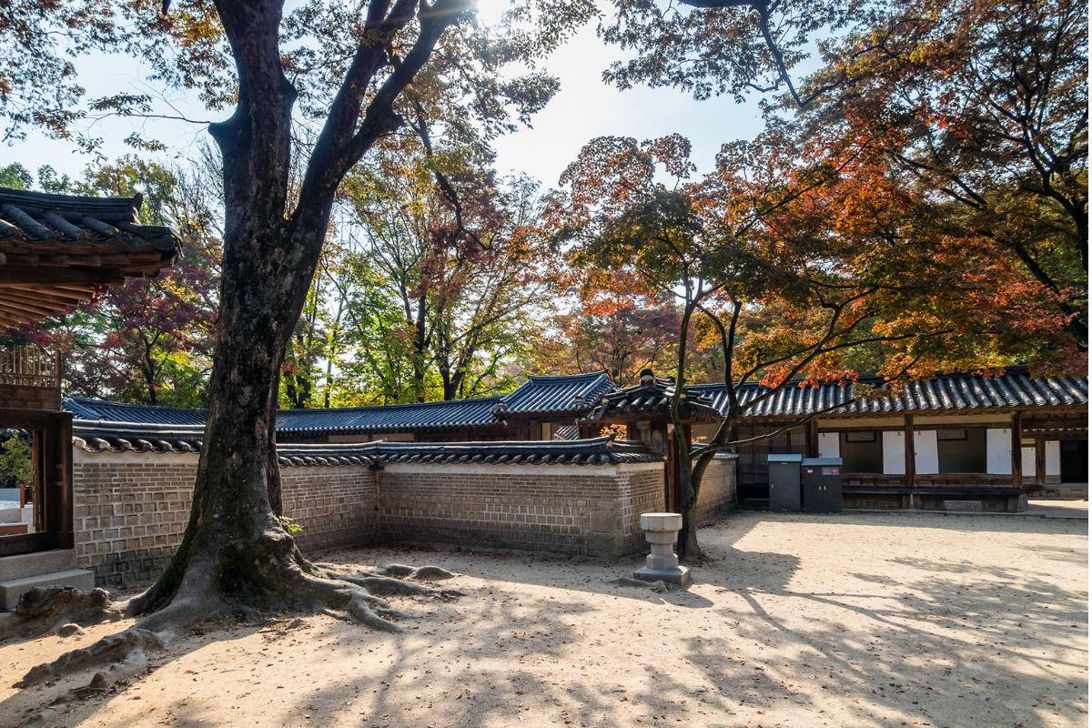 Cung điện Changdeokgung và Khu vườn bí mật đẹp nên thơ ở Seoul