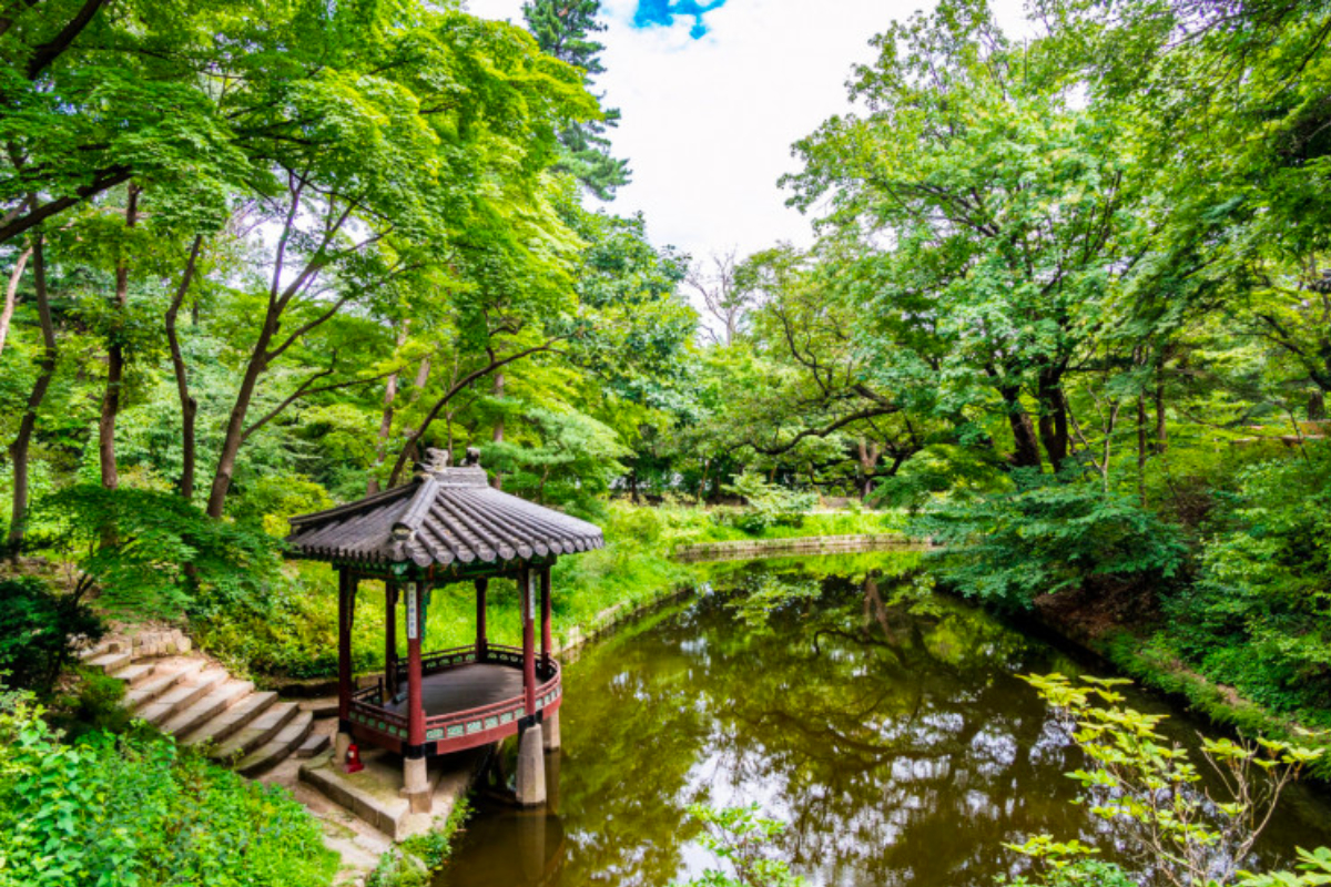 Cung điện Changdeokgung và Khu vườn bí mật đẹp nên thơ ở Seoul