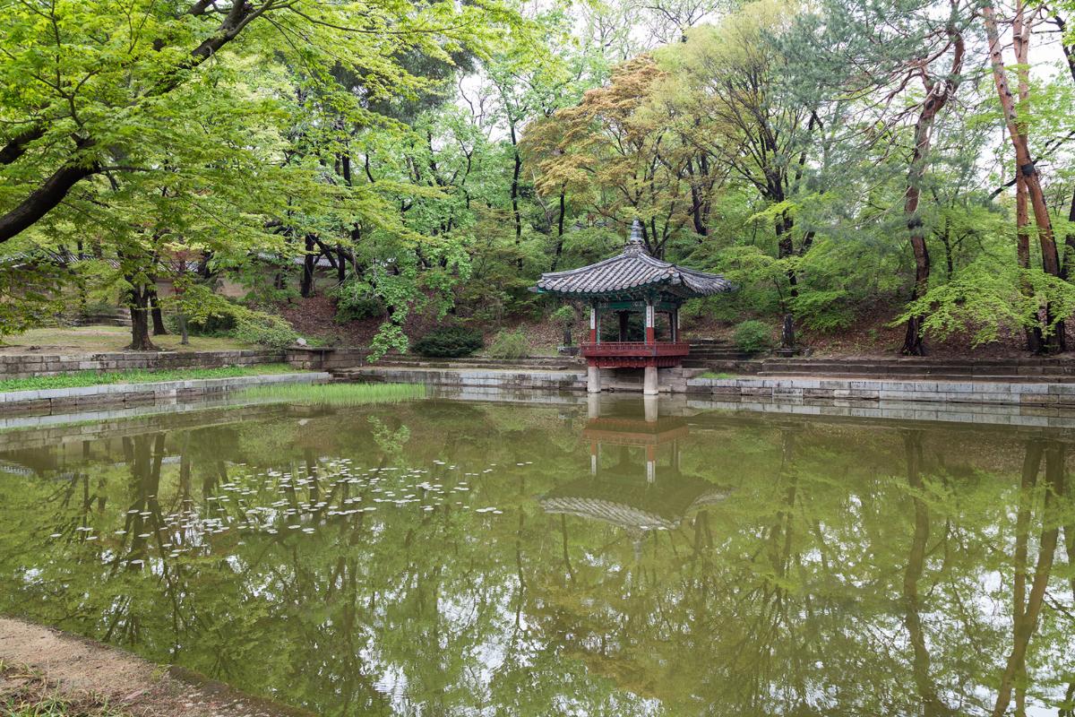 Cung điện Changdeokgung và Khu vườn bí mật đẹp nên thơ ở Seoul