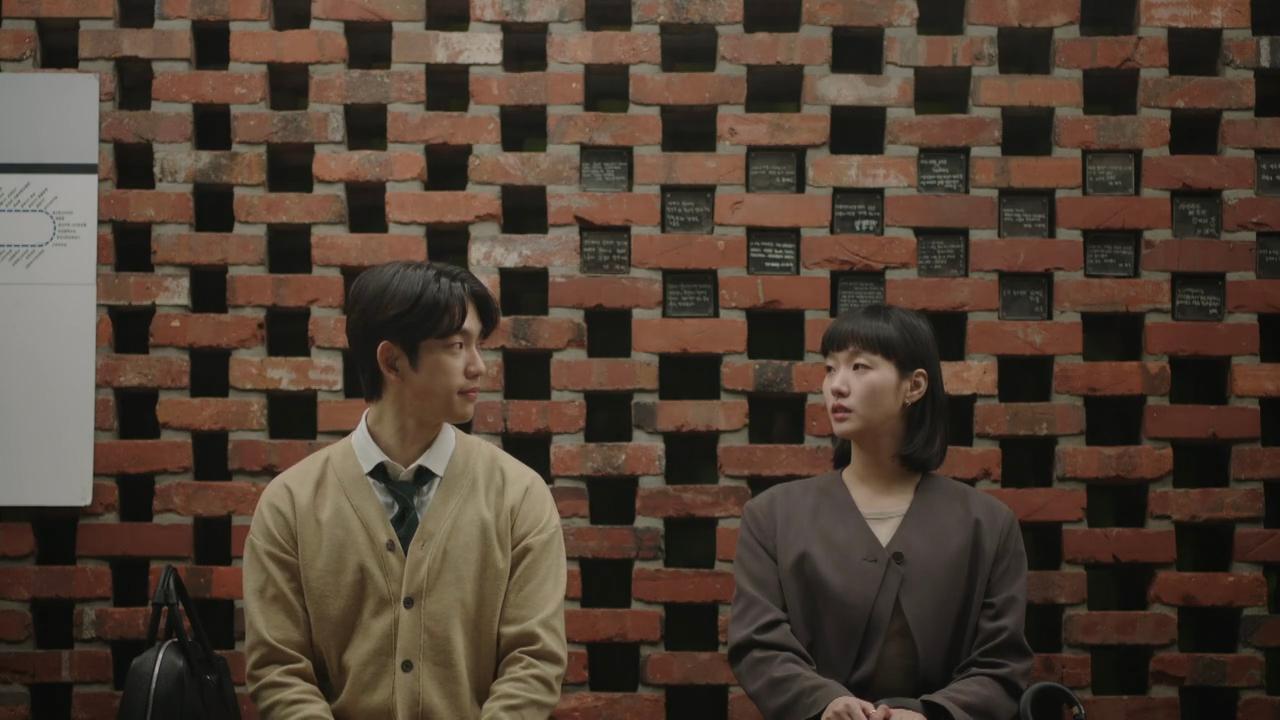 柔美的细胞小将