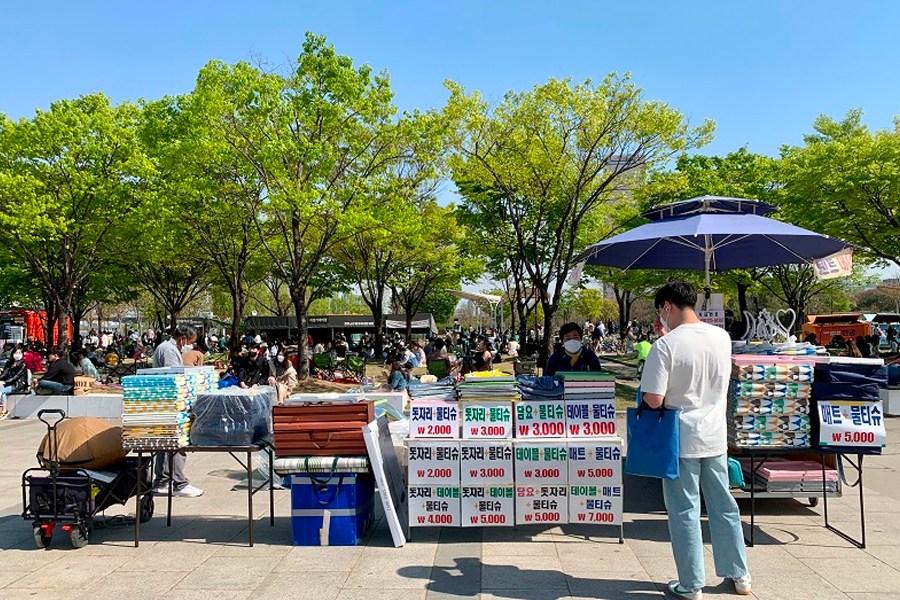 汝矣島 漢江公園