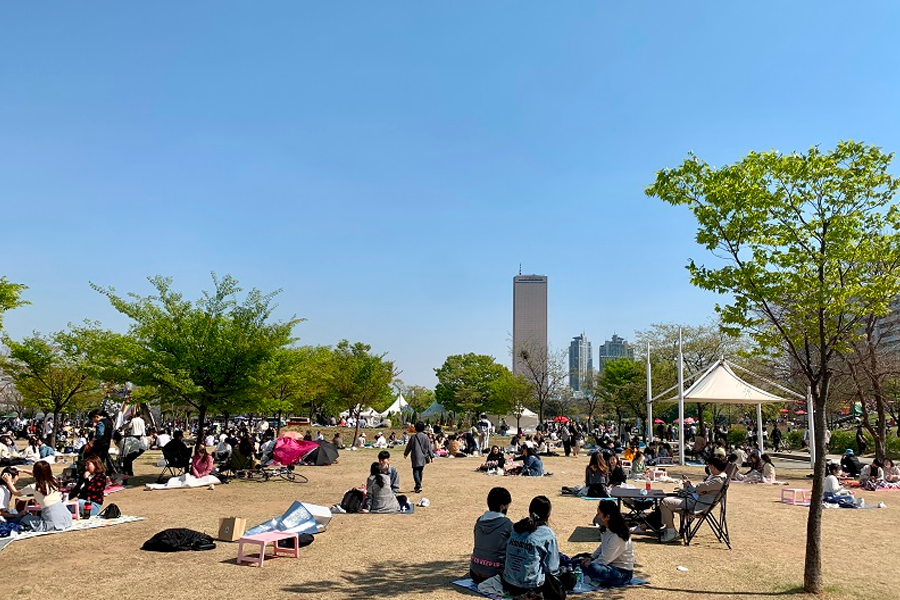 汝矣島 漢江公園