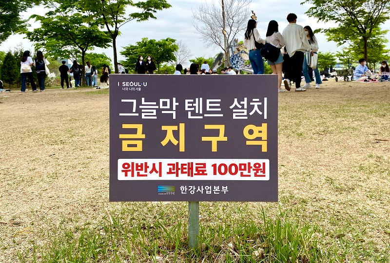 韓国、韓国旅行、韓国観光、ソウル、ソウル旅行、ソウル観光、観光地、漢江、ハンガン、汝矣島、ヨイド、汝矣島漢江公園、チキンデリバリー、ピクニック、テント