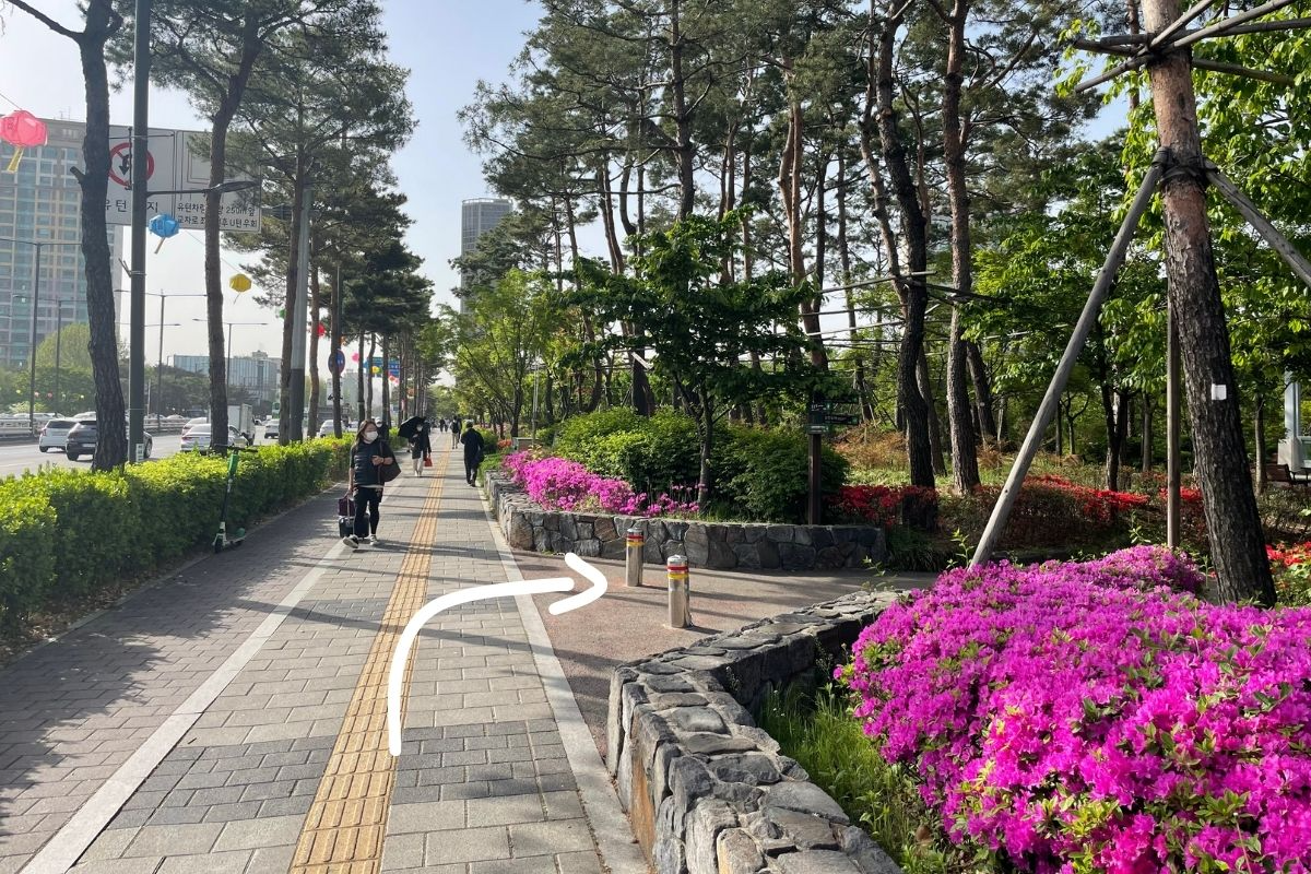 韓国、韓国旅行、ソウル、ソウル旅行、蚕室、チャムシル、石村湖