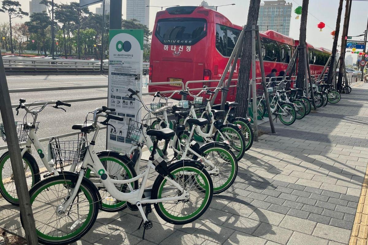 蠶室 石村湖 2025